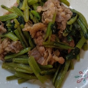 簡単夕飯レシピ！小松菜の牛肉炒め